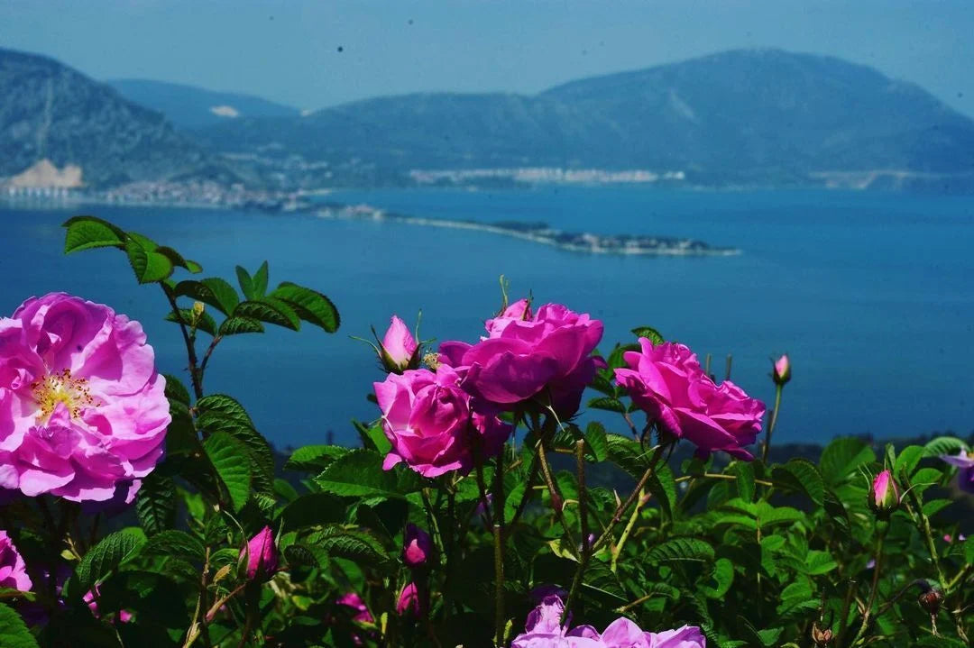 Isparta Gezi Rehberi