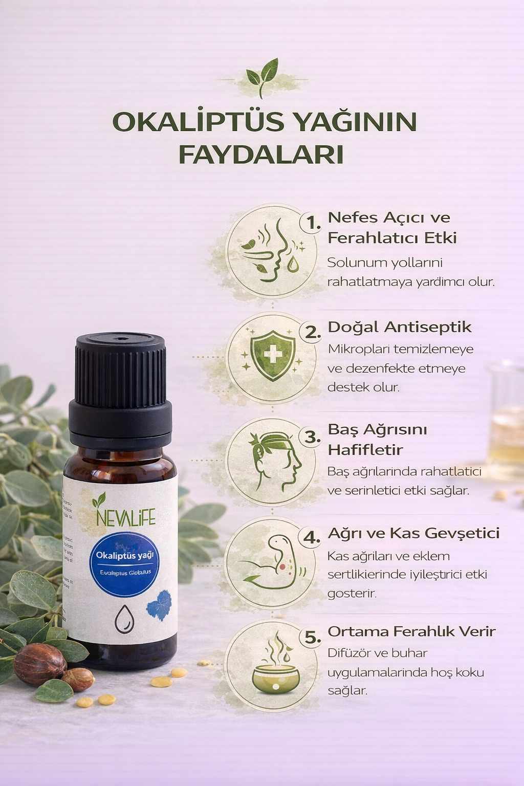 Eucalyptus Oil (10 ML)