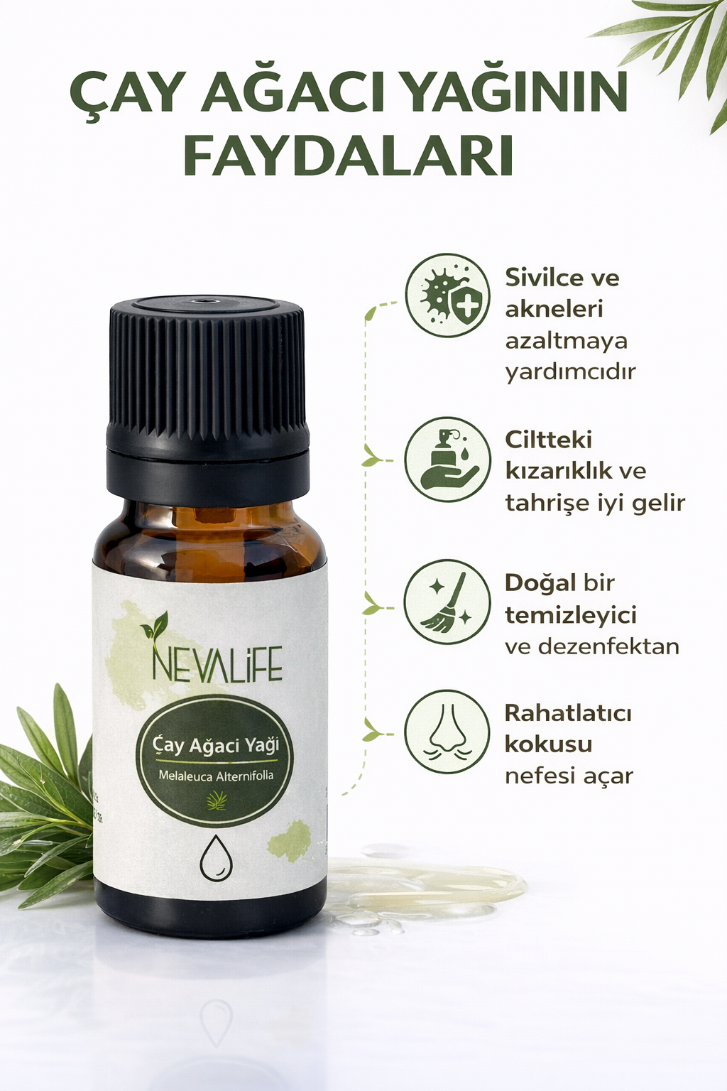 Tea Tree Oil (10 ml)