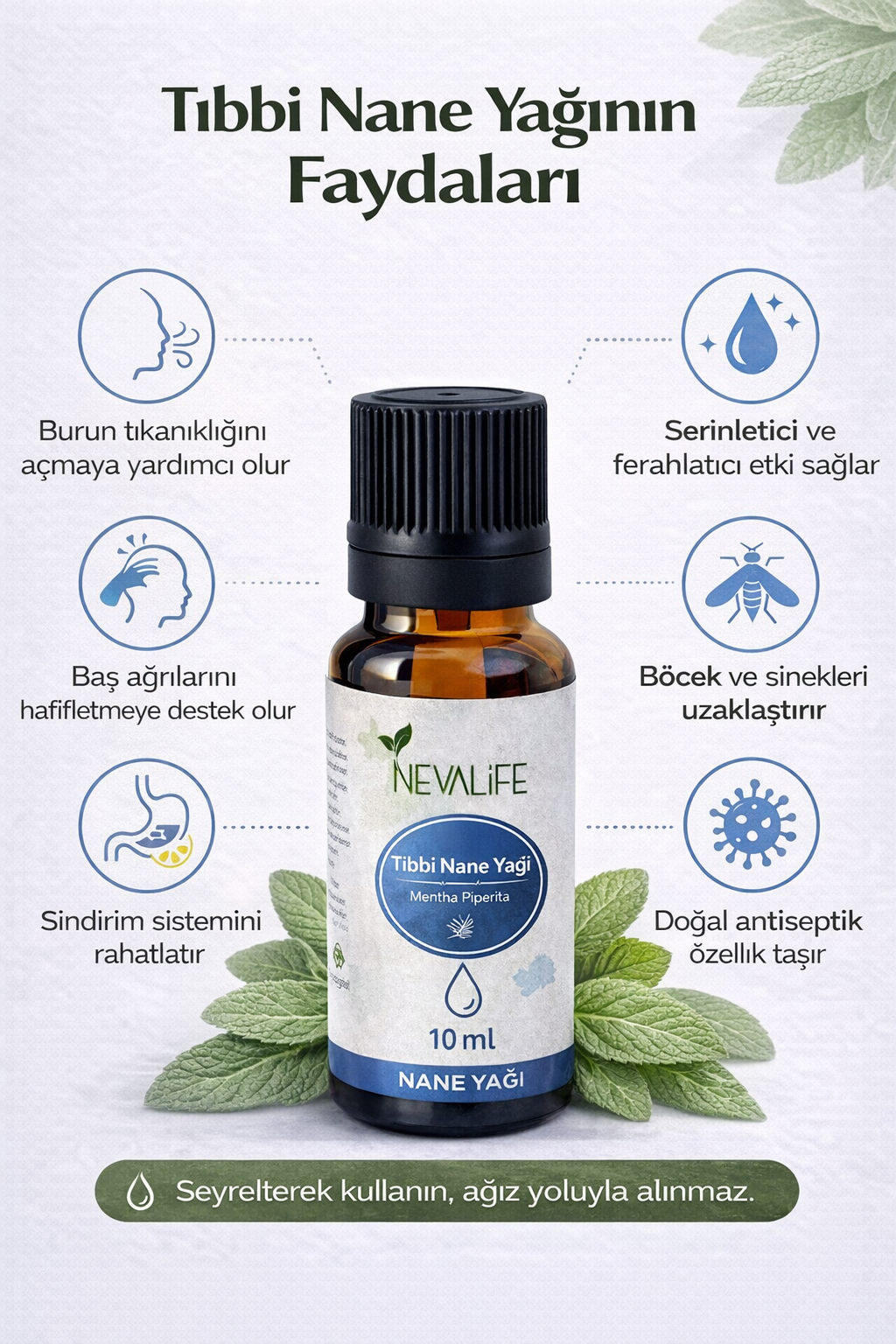 Peppermint Oil (10 ML) | Peppermint Oil