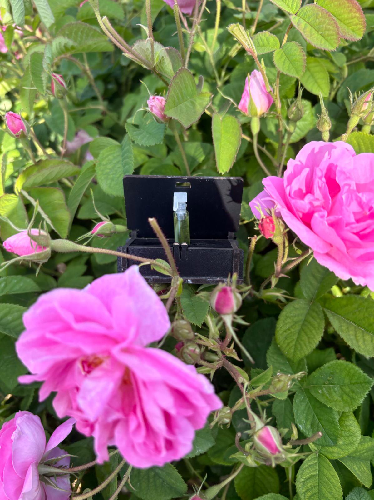 Natural Rose Oil 1 Gram (1.2 ML) | The Closest Frequency to Love